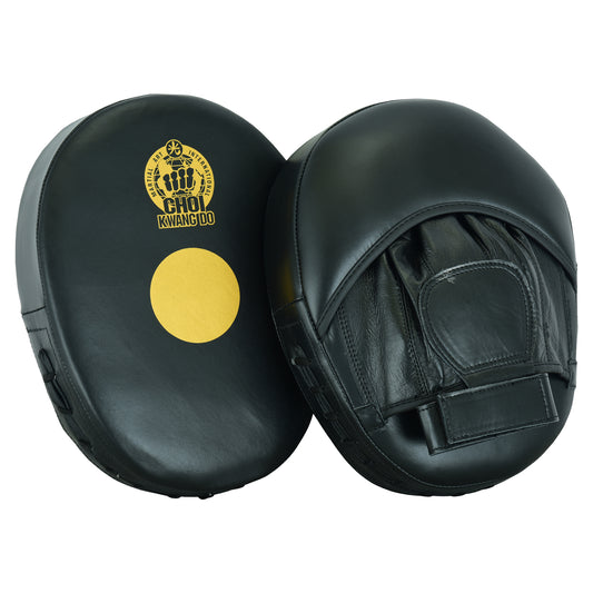 Choi Kwang Do Leather Focus Mitts